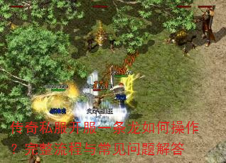 传奇私服开服一条龙如何操作?完整流程与常见问题解答 传奇私服开服一条龙如何操作?完整流程与常见问题解答