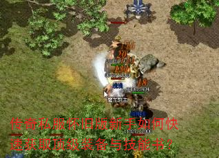 传奇私服怀旧版新手如何快速获取顶级装备与技能书? 传奇私服怀旧版新手如何快速获取顶级装备与技能书?