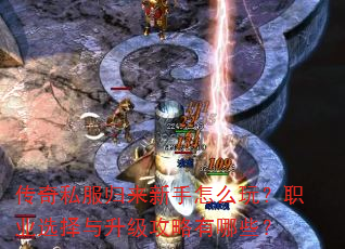 传奇私服归来新手怎么玩?职业选择与升级攻略有哪些? 传奇私服归来新手怎么玩?职业选择与升级攻略有哪些?