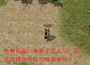 传奇私服归来新手怎么玩?职业选择与升级攻略有哪些? 传奇私服归来新手怎么玩?职业选择与升级攻略有哪些?