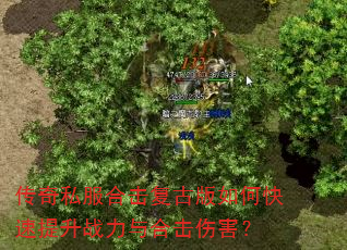 传奇私服合击复古版如何快速提升战力与合击伤害? 传奇私服合击复古版如何快速提升战力与合击伤害?