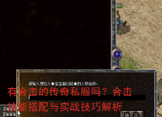 有合击的传奇私服吗?合击技能搭配与实战技巧解析 有合击的传奇私服吗?合击技能搭配与实战技巧解析