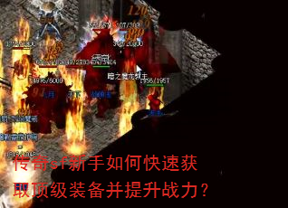 传奇sf新手如何快速获取顶级装备并提升战力? 传奇sf新手如何快速获取顶级装备并提升战力?