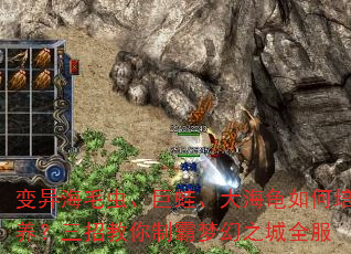 变异海毛虫、巨蛙、大海龟如何培养?三招教你制霸梦幻之城全服 变异海毛虫、巨蛙、大海龟如何培养?三招教你制霸梦幻之城全服