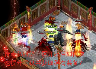 传奇私服第一区开服后如何快速提升等级并获取稀有装备? 传奇私服第一区开服后如何快速提升等级并获取稀有装备?