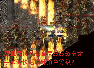 热血传奇私服香港服服务器新手如何快速提升角色等级? 热血传奇私服香港服服务器新手如何快速提升角色等级?