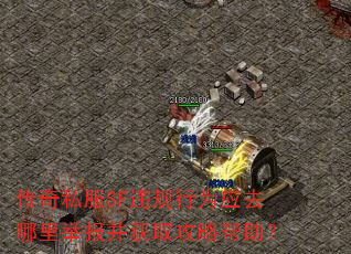 传奇私服SF违规行为应去哪里举报并获取攻略帮助? 传奇私服SF违规行为应去哪里举报并获取攻略帮助?