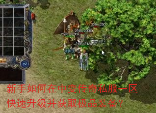 新手如何在中变传奇私服一区快速升级并获取极品装备? 新手如何在中变传奇私服一区快速升级并获取极品装备?
