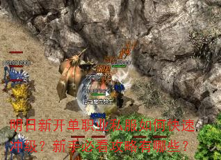 明日新开单职业私服如何快速冲级?新手必看攻略有哪些? 明日新开单职业私服如何快速冲级?新手必看攻略有哪些?