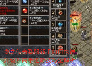 龙之传奇私服新手如何快速升级?高手进阶技巧全解析 龙之传奇私服新手如何快速升级?高手进阶技巧全解析