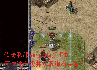 传奇私服wangzha新手如何快速升级并获取稀有装备? 传奇私服wangzha新手如何快速升级并获取稀有装备?