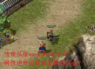 传奇私服wangzha新手如何快速升级并获取稀有装备? 传奇私服wangzha新手如何快速升级并获取稀有装备?