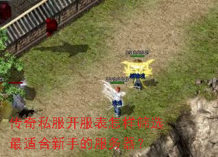 传奇私服开服表怎样筛选最适合新手的服务器? 传奇私服开服表怎样筛选最适合新手的服务器?