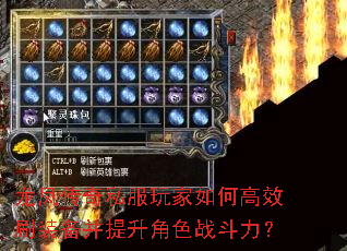 龙凤传奇私服玩家如何高效刷装备并提升角色战斗力? 龙凤传奇私服玩家如何高效刷装备并提升角色战斗力?