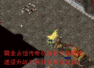 霸业永恒传奇私服新手如何快速提升战力并获取稀有装备? 霸业永恒传奇私服新手如何快速提升战力并获取稀有装备?