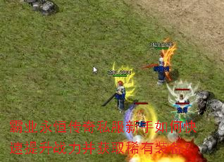 霸业永恒传奇私服新手如何快速提升战力并获取稀有装备? 霸业永恒传奇私服新手如何快速提升战力并获取稀有装备?