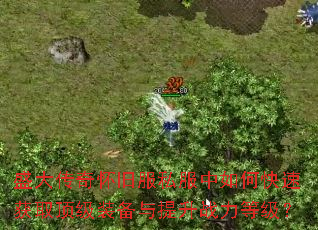 盛大传奇怀旧服私服中如何快速获取顶级装备与提升战力等级? 盛大传奇怀旧服私服中如何快速获取顶级装备与提升战力等级?