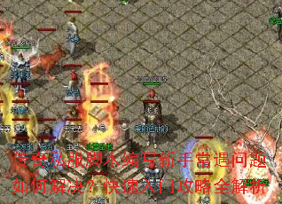 传奇私服脚本编写新手常遇问题如何解决?快速入门攻略全解析 传奇私服脚本编写新手常遇问题如何解决?快速入门攻略全解析