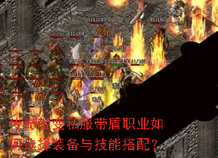 传奇轻变私服带盾职业如何选择装备与技能搭配? 传奇轻变私服带盾职业如何选择装备与技能搭配?