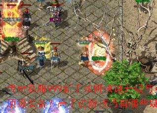 传奇私服999新手如何快速升级与获取顶级装备?高手进阶技巧有哪些疑问解答 传奇私服999新手如何快速升级与获取顶级装备?高手进阶技巧有哪些疑问解答