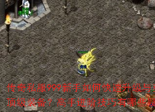 传奇私服999新手如何快速升级与获取顶级装备?高手进阶技巧有哪些疑问解答 传奇私服999新手如何快速升级与获取顶级装备?高手进阶技巧有哪些疑问解答