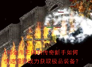 195金牛无内功传奇新手如何快速提升战力获取极品装备? 195金牛无内功传奇新手如何快速提升战力获取极品装备?