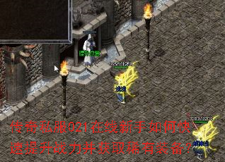 传奇私服021在线新手如何快速提升战力并获取稀有装备? 传奇私服021在线新手如何快速提升战力并获取稀有装备?