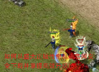 如何从盛大正版传奇私服官网安全下载并掌握高效升级技巧? 如何从盛大正版传奇私服官网安全下载并掌握高效升级技巧?