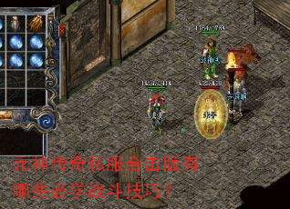 元神传奇私服合击版有哪些必学战斗技巧? 元神传奇私服合击版有哪些必学战斗技巧?