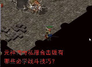 元神传奇私服合击版有哪些必学战斗技巧? 元神传奇私服合击版有哪些必学战斗技巧?