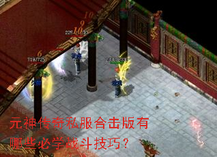元神传奇私服合击版有哪些必学战斗技巧? 元神传奇私服合击版有哪些必学战斗技巧?