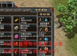网通热血传奇私服新手玩家如何快速提升战力等级? 网通热血传奇私服新手玩家如何快速提升战力等级?