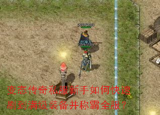 变态传奇私服新手如何快速刷到满级装备并称霸全服? 变态传奇私服新手如何快速刷到满级装备并称霸全服?