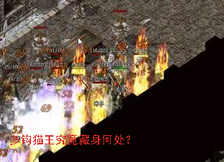 多钩猫王究竟藏身何处? 多钩猫王究竟藏身何处?