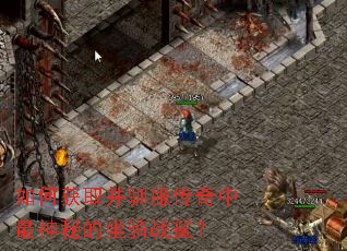 如何获取并驯服传奇中最神秘的坐骑战鲨? 如何获取并驯服传奇中最神秘的坐骑战鲨?