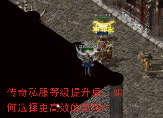 传奇私服等级提升后,如何选择更高效的药物? 传奇私服等级提升后,如何选择更高效的药物?
