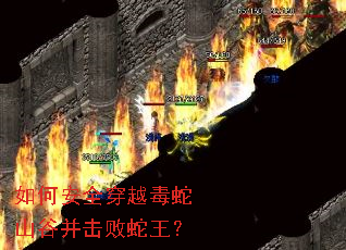如何安全穿越毒蛇山谷并击败蛇王? 如何安全穿越毒蛇山谷并击败蛇王?