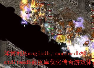 如何利用magicdb、monterdb和stditemdb数据库优化传奇游戏体验? 如何利用magicdb、monterdb和stditemdb数据库优化传奇游戏体验?