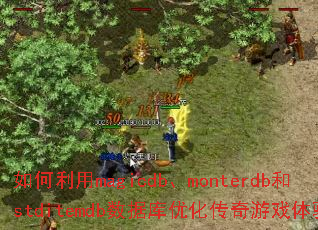 如何利用magicdb、monterdb和stditemdb数据库优化传奇游戏体验? 如何利用magicdb、monterdb和stditemdb数据库优化传奇游戏体验?