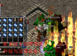 新手战士如何快速升级与选择装备? 新手战士如何快速升级与选择装备?
