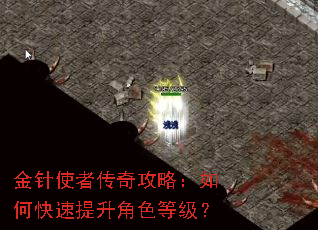 金针使者传奇攻略:如何快速提升角色等级? 金针使者传奇攻略:如何快速提升角色等级?