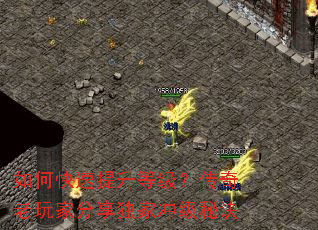 如何快速提升等级?传奇老玩家分享独家冲级秘诀 如何快速提升等级?传奇老玩家分享独家冲级秘诀