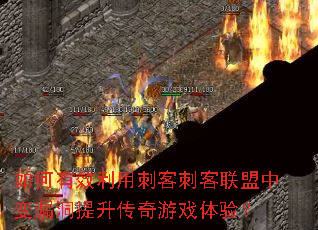 如何有效利用刺客刺客联盟中变漏洞提升传奇游戏体验? 如何有效利用刺客刺客联盟中变漏洞提升传奇游戏体验?