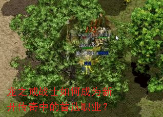 龙之戒战士如何成为新开传奇中的首选职业? 龙之戒战士如何成为新开传奇中的首选职业?