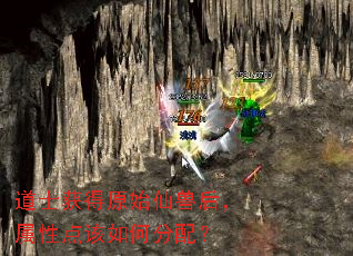 道士获得原始仙兽后,属性点该如何分配? 道士获得原始仙兽后,属性点该如何分配?