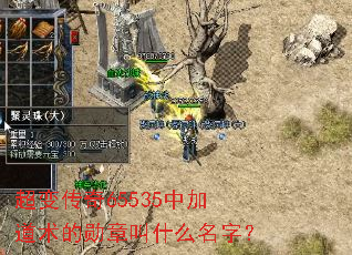 超变传奇65535中加道术的勋章叫什么名字? 超变传奇65535中加道术的勋章叫什么名字?