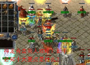 神龙合击商人攻略?新手必知十大要点是什么? 神龙合击商人攻略?新手必知十大要点是什么?