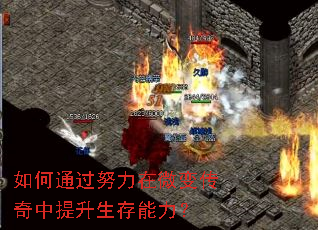 如何通过努力在微变传奇中提升生存能力? 如何通过努力在微变传奇中提升生存能力?