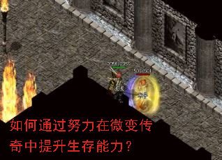 如何通过努力在微变传奇中提升生存能力? 如何通过努力在微变传奇中提升生存能力?