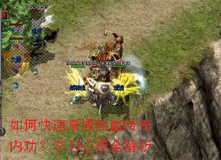 如何快速掌握热血传奇内功?学习心得全解析 如何快速掌握热血传奇内功?学习心得全解析